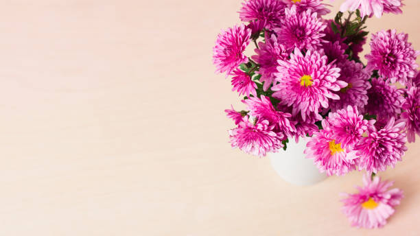 istock Bouquet of pink chrysanthemums. 2033249461