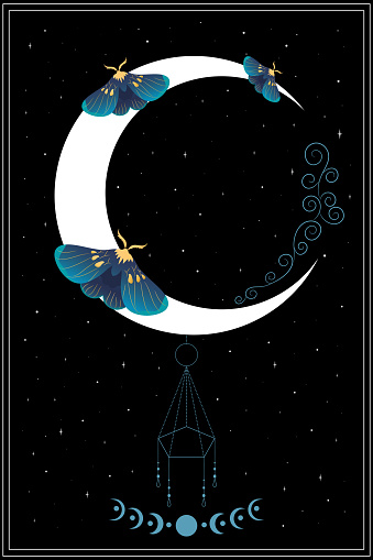 Celestial background with blue moths, stars and crescent moon. Vector illustration