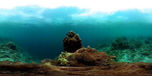istock Marine sanctuary, underwater world with coral. 2033259440