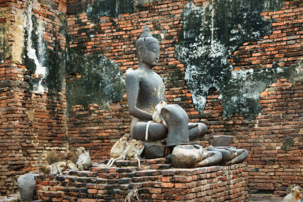 Crab-eating macaques rest at a Buddha statue at Phra Prang Sam Yot in Lopburi, Thailand on a cloudy day.