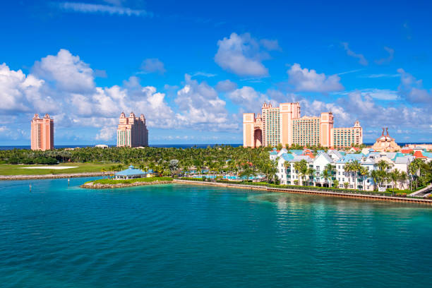 istock Paradise Island, Bahamas 2033293322