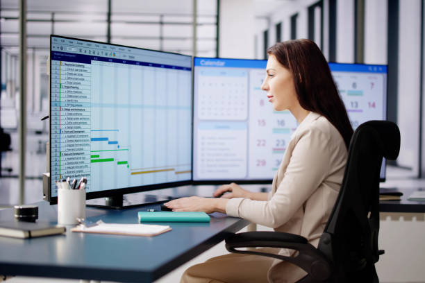 istock Woman Working On Calendar Agenda Schedule 2033298524