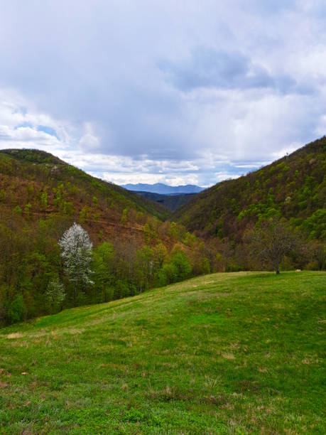 Rural scene with hills and mountains in the center at cloudy day