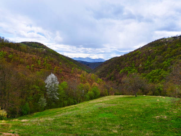 Rural scene with hills and mountains in the center at cloudy day