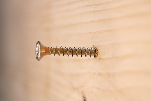 Close-up of a brass self-tapping screw that is halfway inserted into a planed timber board.