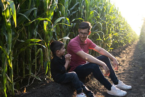 Father and son on corn field