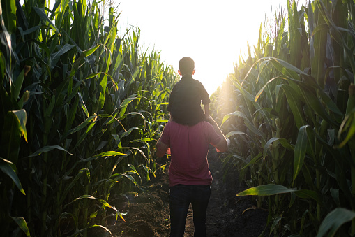 Father and son on corn field