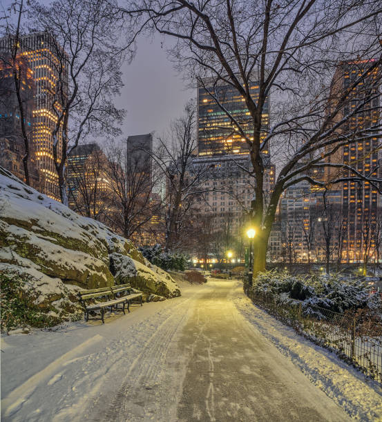 istock Central Park in winter , snow storm 2033372250