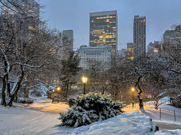 istock Central Park in winter , snow storm 2033373827