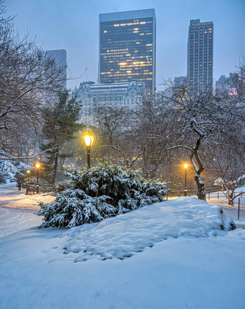 istock Central Park in winter , snow storm 2033374886