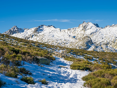 SNow covered mountain tops of Back Perisher mountain peak with rocks and moss on a cold sunny winter day during skiing season.