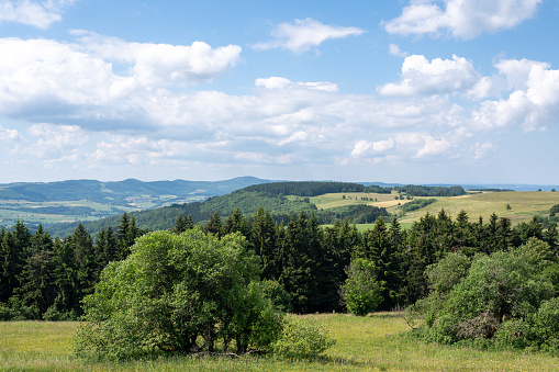 Green Landscape with trees and meadow  in the high Rhoen