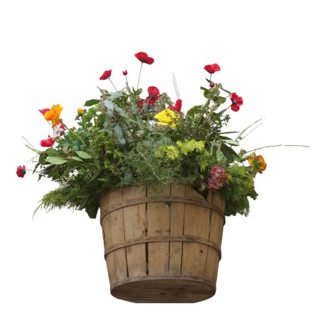Colorful garden flowers in wooden basket, perfect for spring and summer decor themes