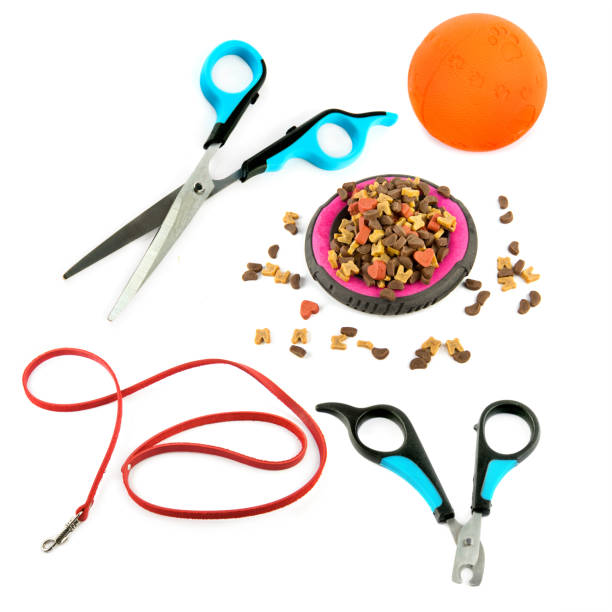 istock Dry food, Scissors and leash for pet on isolated white background. 2033442507