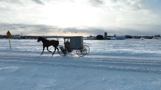Amish horse and buggy passing on snow covered road in rural USA countryside in winter. Aerial tracking shot.