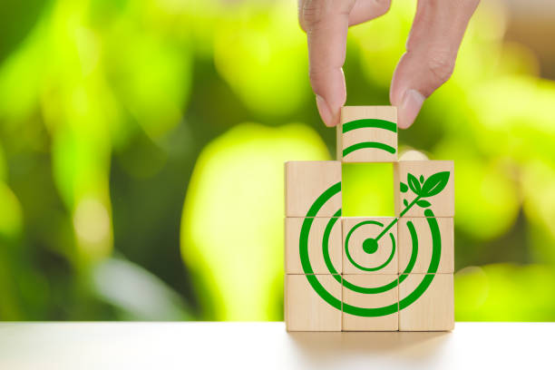 Reduction CO2 emissions concept. Carbon neutrality 2050 target icon. Carbon neutrality, Goal of Net Zero, Climate change, Sustainable energy, Carbon footprint, environmental problem, Carbon neutral,
