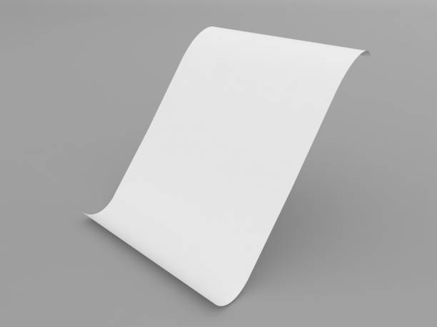 istock Curved office sheet of A4 paper on a gray background. 2033504637
