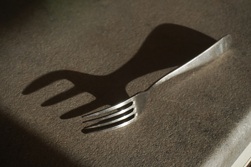The fork lies on the kitchen table reflecting sharp shadows. Soft focus