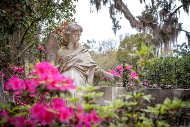 istock Bonaventure Cemetery Savannah Georgia 2033528757