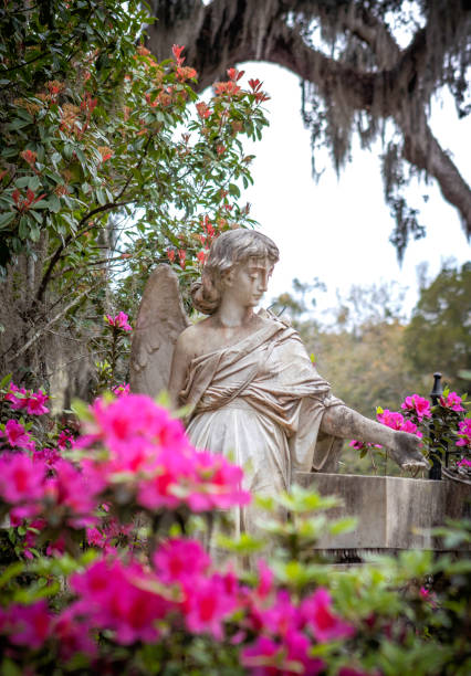 istock Bonaventure Cemetery Savannah Georgia 2033528758