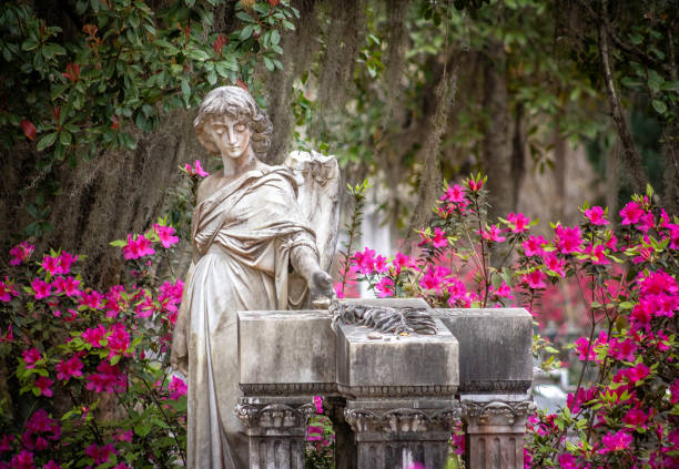 istock Bonaventure Cemetery Savannah Georgia 2033528761