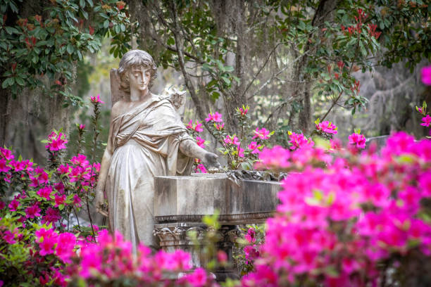 istock Bonaventure Cemetery Savannah Georgia 2033528765