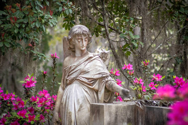istock Bonaventure Cemetery Savannah Georgia 2033528766