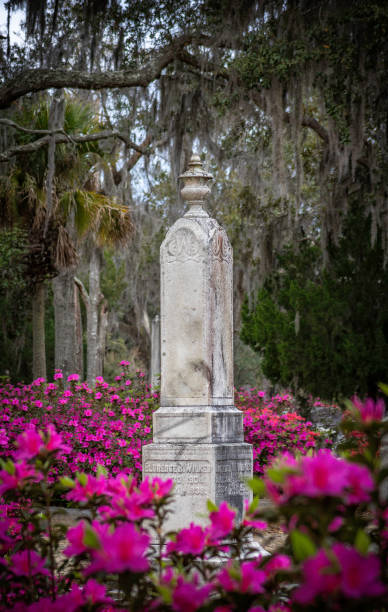 istock Bonaventure Cemetery Savannah Georgia 2033529286