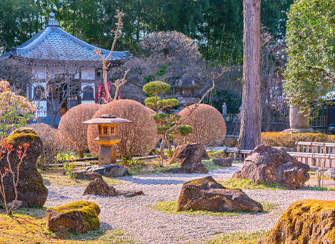 saitama, chichibu - mar 26 2023: Traditional Japanese karesansui dry garden adorned with moss covered rocks and ball shaped shrubs in front of the Akibad hall of buddhist Chosen-in Buddhist temple.