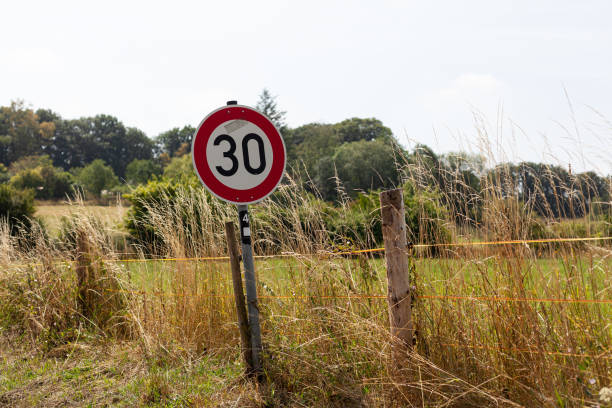 istock Traffic sign with speed limit 30 km/h in a field 2033588272