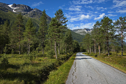 Hiking track in Innerdalen valley, Norway, Europe