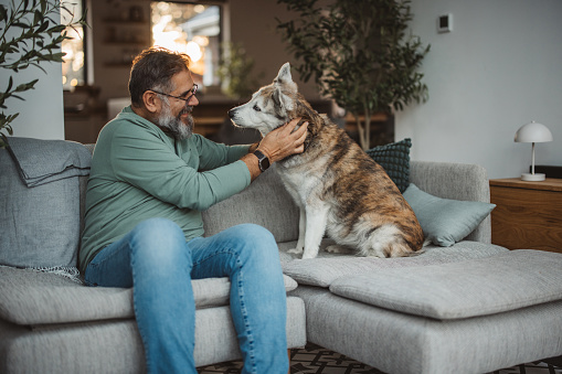 Mature man sitting on sofa at home and playing  with his dog.