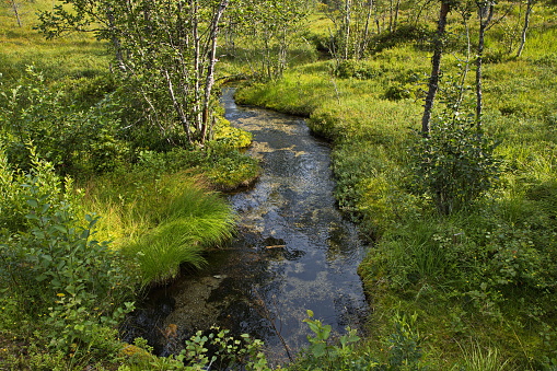 Creek in Innerdalen valley, Norway, Europe