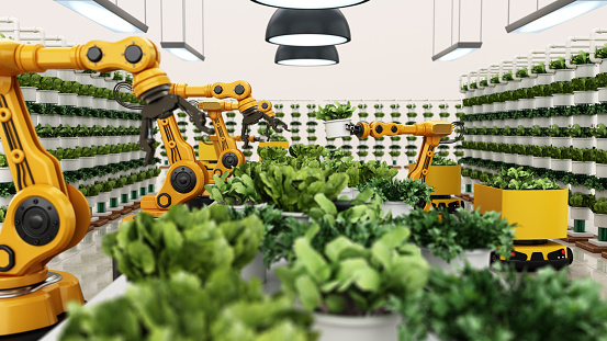 Robotic arms harvesting crops inside a greenhouse or plant.