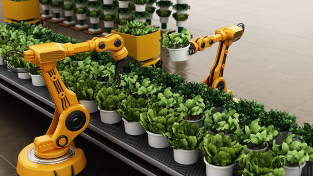 istock Robotic arms harvesting crops inside a greenhouse or plant 2033659217