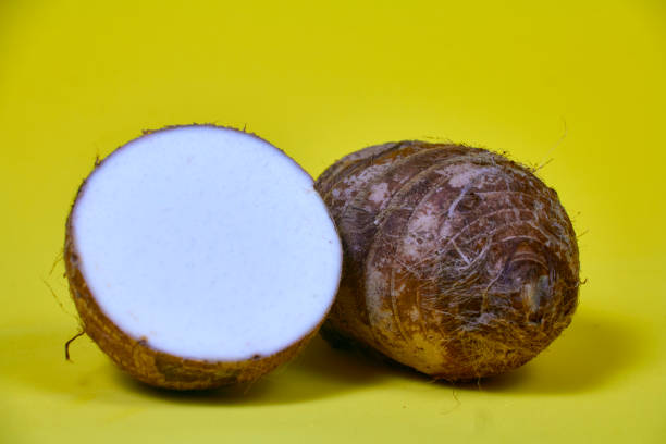 istock closeup of taro root vegetable, eddo malanga, yellow background 2033686242