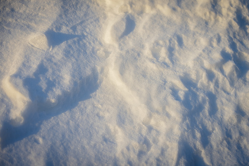 Close-up snow texture with sunlight.