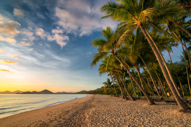 istock Palm Cove morning 2033848886