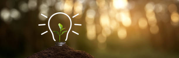 istock Light bulb outline drawn with a plant inside - concept of caring for the environment and sustainable energy 2033863286