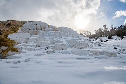 Mammoth Hot Springs in the Yellowstone ecosystem in western USA of North America. Mammoth Hot Springs in the Yellowstone ecosystem in western USA of North America.