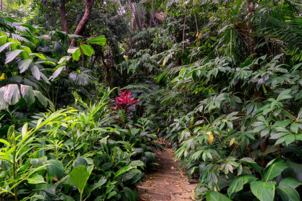 istock Fleckers Botanic Garden 2033940578