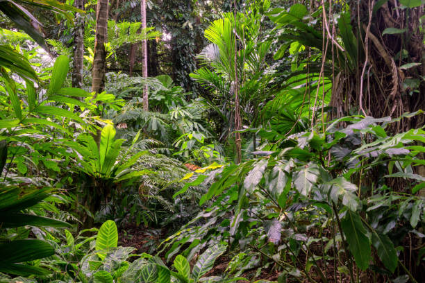 istock Fleckers Botanic Garden 2033940583