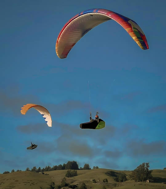 due deltaplani fluttuano nell'aria sopra verdi colline e con alberi - skydiving air aerial view vertical foto e immagini stock
