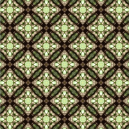 Earthy Color Seamless Patterns