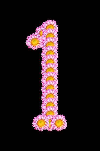istock number one form flower on black background 2034046596