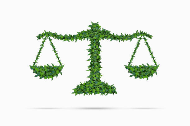 istock Environmental balance  trees isolated on white background clipping path. 2034090383