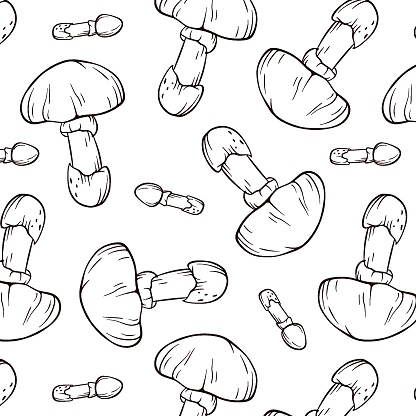 Seamless pattern with Caesars mushrooms in line art style. Design for wrapping paper, wallpaper, textiles. Vector illustration on a white background.