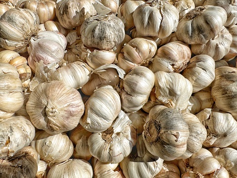 Garlic on the market is being sold