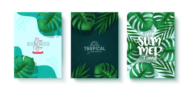 istock Summer tropical leaves vector poster set. Summer time greeting text with monstera and palm leaves elements for tropical season 2034149257