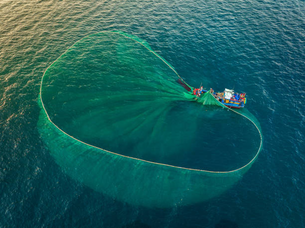 istock Netting fish on Nha Trang sea 2034162743